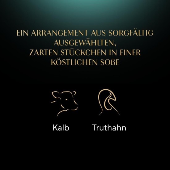 SHEBA® Schale Selection in Sauce mit Rind und Truthahn 2 x 11 x 85g SHEBA® Schale Selection in Sauce mit Rind und Truthahn 2 x 11 x 85g