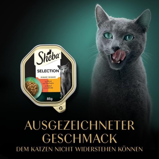SHEBA® Schale Selection in Sauce mit Rind und Truthahn 2 x 11 x 85g SHEBA® Schale Selection in Sauce mit Rind und Truthahn 2 x 11 x 85g