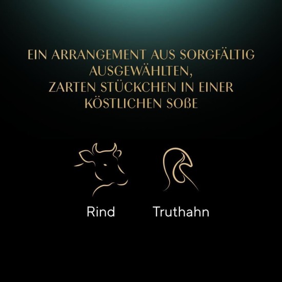 SHEBA® Schale Selection in Sauce mit Rind und Truthahn 2 x 11 x 85g SHEBA® Schale Selection in Sauce mit Rind und Truthahn 2 x 11 x 85g