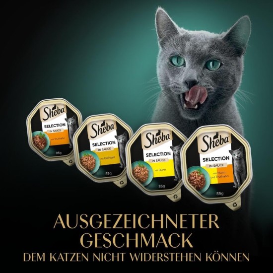 SHEBA Selection Schale Multipack Geflügel Variation in Sauce 4X12x85g SHEBA Selection Schale Multipack Geflügel Variation in Sauce 4X12x85g