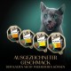 SHEBA Selection Schale Multipack Geflügel Variation in Sauce 4X12x85g SHEBA Selection Schale Multipack Geflügel Variation in Sauce 4X12x85g