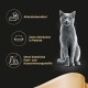 Sheba Classics Cat Food Pate with Fine Chunks for Every Day Sheba Classics Cat Food Pate with Fine Chunks for Every Day