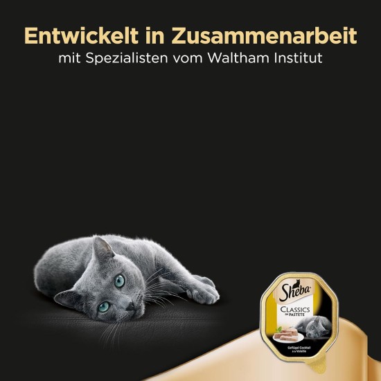 Sheba Classics Cat Food Pate with Fine Chunks for Every Day Sheba Classics Cat Food Pate with Fine Chunks for Every Day
