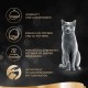 Sheba Classics Cat Food Pate with Fine Chunks for Every Day Sheba Classics Cat Food Pate with Fine Chunks for Every Day