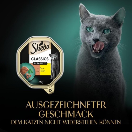 Sheba Classics Cat Food Pate with Fine Chunks for Every Day Sheba Classics Cat Food Pate with Fine Chunks for Every Day
