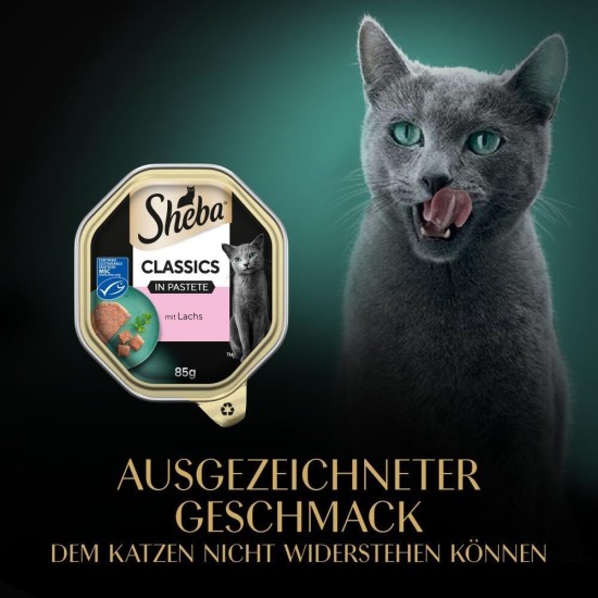 Sheba Classics Cat Food Pate with Fine Chunks for Every Day Sheba Classics Cat Food Pate with Fine Chunks for Every Day