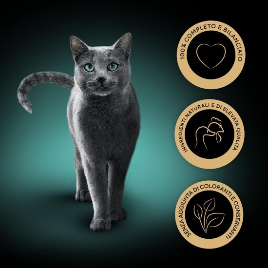 Sheba Classics Cat Food Pate with Fine Chunks for Every Day Sheba Classics Cat Food Pate with Fine Chunks for Every Day