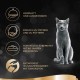 Sheba Classics in Pate - Finest Wet Cat Food in Bowl - Fish Variation (MSC) with Salmon, White Fish, Tuna and Cod - 32 x 85 g Sheba Classics in Pate - Finest Wet Cat Food in Bowl - Fish Variation (MSC) with Salmon, White Fish, Tuna and Cod - 32 x 85 g