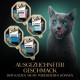 Sheba Classics in Pate - Finest Wet Cat Food in Bowl - Fish Variation (MSC) with Salmon, White Fish, Tuna and Cod - 32 x 85 g Sheba Classics in Pate - Finest Wet Cat Food in Bowl - Fish Variation (MSC) with Salmon, White Fish, Tuna and Cod - 32 x 85 g