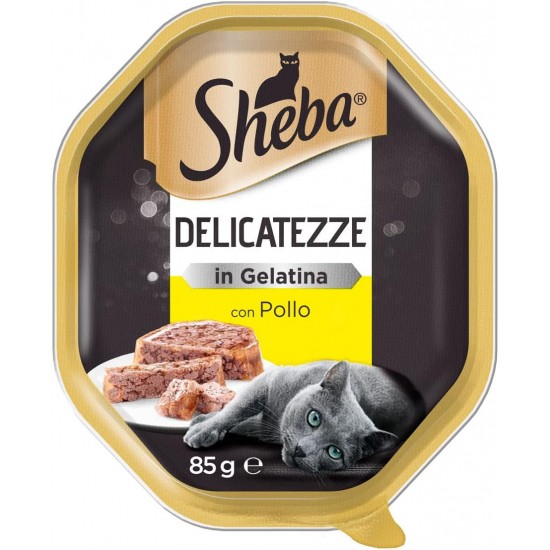 Sheba Delicatezze in Jelly Trancetti Cat Food with Chicken 85 g - 22 Bowls