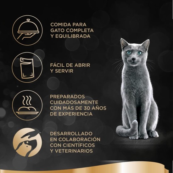 Sheba Delices du Day Food Storage Bags for Cats 12 x (6 x 50 g) Sheba Delices du Day Food Storage Bags for Cats 12 x (6 x 50 g)