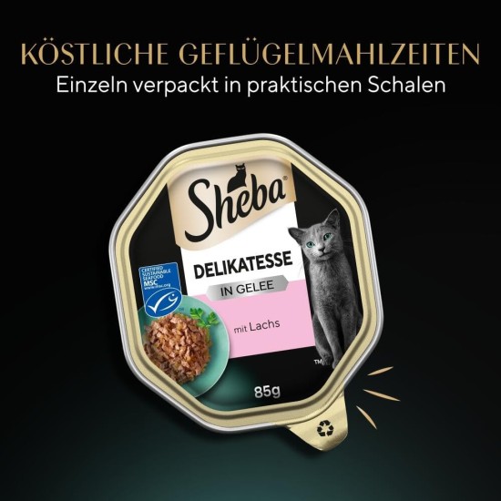 Sheba Delikatesse in Jelly, High-Quality Wet Cat Food, in 85 g Tray or Bag Various Varieties Sheba Delikatesse in Jelly, High-Quality Wet Cat Food, in 85 g Tray or Bag Various Varieties
