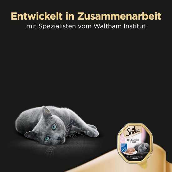Sheba Delikatesse in Jelly, High-Quality Wet Cat Food, in 85 g Tray or Bag Various Varieties Sheba Delikatesse in Jelly, High-Quality Wet Cat Food, in 85 g Tray or Bag Various Varieties