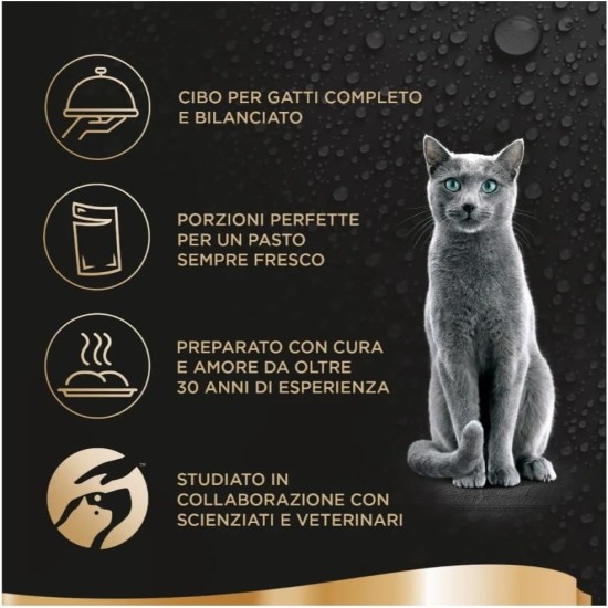 Sheba Délice Du Jour Wet Cat Food with Chicken and Turkey in Jelly 12 Packs of 6 Bags x 50 g Total 72 Bags 3600 g Sheba Délice Du Jour Wet Cat Food with Chicken and Turkey in Jelly 12 Packs of 6 Bags x 50 g Total 72 Bags 3600 g