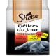 Sheba Délice Du Jour Wet Cat Food with Chicken and Turkey in Sauce, 12 Packs of 6 Bags x 50 g, Total 3600 g Sheba Délice Du Jour Wet Cat Food with Chicken and Turkey in Sauce, 12 Packs of 6 Bags x 50 g, Total 3600 g