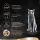 Sheba Délices du Jour - Wet food for adult cats - Poultry selection in sauce - Fresh bags 12 x (6 x 50 g)