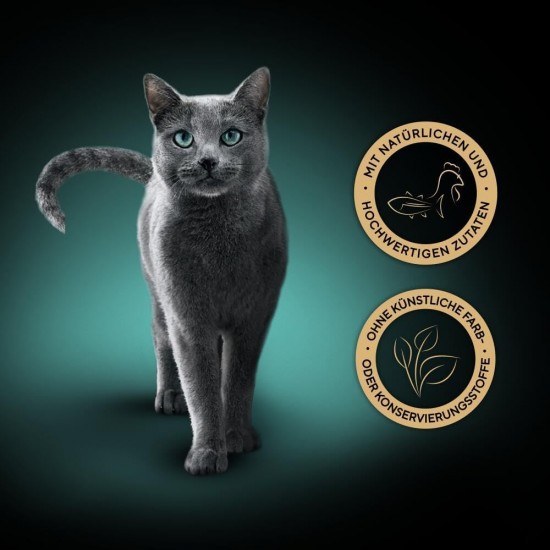 Sheba Filets - Finest Wet Cat Food in Tray - Chicken - 16 x 60 g Sheba Filets - Finest Wet Cat Food in Tray - Chicken - 16 x 60 g