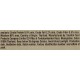Sheba Filets - Finest Wet Cat Food in Tray - Chicken - 16 x 60 g Sheba Filets - Finest Wet Cat Food in Tray - Chicken - 16 x 60 g