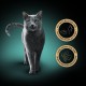 Sheba Filets - Finest Wet Cat Food in Tray - Chicken - 16 x 60 g Sheba Filets - Finest Wet Cat Food in Tray - Chicken - 16 x 60 g
