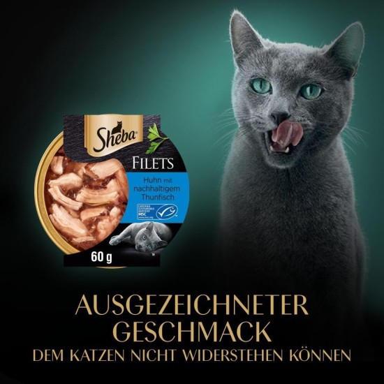 Sheba Filets - Finest Wet Cat Food in Tray - Chicken - 16 x 60 g Sheba Filets - Finest Wet Cat Food in Tray - Chicken - 16 x 60 g
