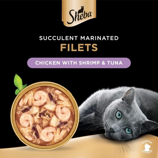 Sheba Filets - Finest Wet Cat Food in Tray - Chicken - 16 x 60 g Sheba Filets - Finest Wet Cat Food in Tray - Chicken - 16 x 60 g