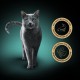 Sheba Filets - Finest Wet Cat Food in Tray - Chicken - 16 x 60 g Sheba Filets - Finest Wet Cat Food in Tray - Chicken - 16 x 60 g