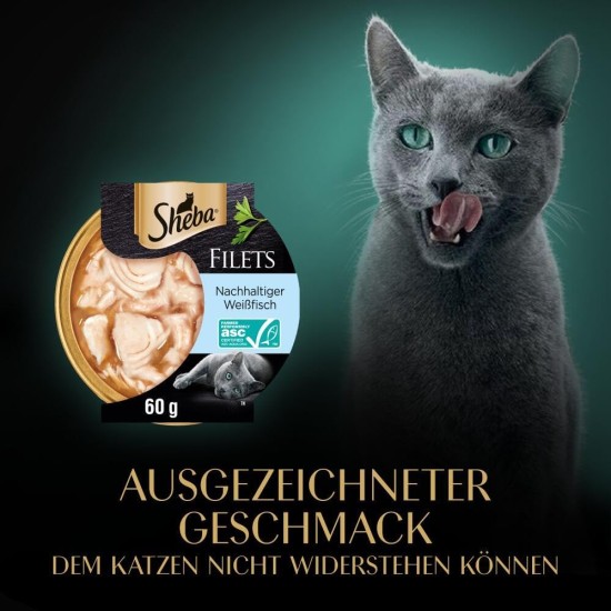 Sheba Filets - Finest Wet Cat Food in Tray - Chicken - 16 x 60 g Sheba Filets - Finest Wet Cat Food in Tray - Chicken - 16 x 60 g
