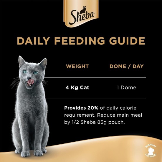 Sheba Filets - Finest Wet Cat Food in Tray - Chicken with Shrimp - 16 x 60 g Sheba Filets - Finest Wet Cat Food in Tray - Chicken with Shrimp - 16 x 60 g