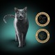 Sheba Filets - Finest Wet Cat Food in Tray - Chicken with Shrimp - 16 x 60 g Sheba Filets - Finest Wet Cat Food in Tray - Chicken with Shrimp - 16 x 60 g