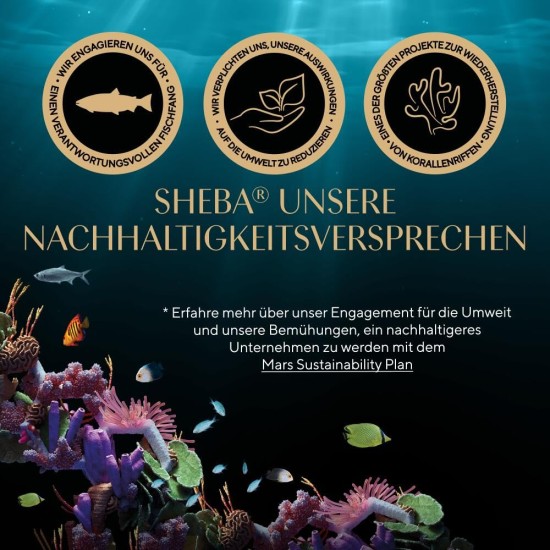 Sheba Fresh & Fine Multipack Portion Bags 3 Varieties Cod, Salmon, Tuna in Sauce MSC 5 x 15 x 50 g Sheba Fresh & Fine Multipack Portion Bags 3 Varieties Cod, Salmon, Tuna in Sauce MSC 5 x 15 x 50 g