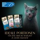 Sheba Fresh & Fine Multipack Portion Bags 3 Varieties Cod, Salmon, Tuna in Sauce MSC 5 x 15 x 50 g Sheba Fresh & Fine Multipack Portion Bags 3 Varieties Cod, Salmon, Tuna in Sauce MSC 5 x 15 x 50 g