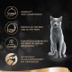 Sheba Fresh & Fine in Sauce, High-Quality Wet Cat Food, Portion Bag, Multipack with Chicken, Poultry and Turkey, 75 x 50 g Sheba Fresh & Fine in Sauce, High-Quality Wet Cat Food, Portion Bag, Multipack with Chicken, Poultry and Turkey, 75 x 50 g