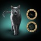 Sheba Multipack Soup Wet Cat Food in Portion Bag Chicken 40 x 40 g Sheba Multipack Soup Wet Cat Food in Portion Bag Chicken 40 x 40 g