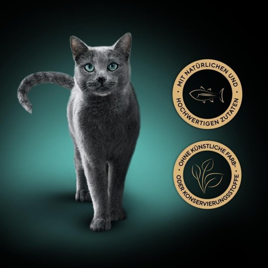 Sheba Multipack Soup Wet Cat Food in Portion Bag Salmon 40 x 40 g Sheba Multipack Soup Wet Cat Food in Portion Bag Salmon 40 x 40 g