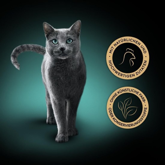 Sheba Multipack Soup Wet Cat Food in Portion Bag Salmon 40 x 40 g Sheba Multipack Soup Wet Cat Food in Portion Bag Salmon 40 x 40 g