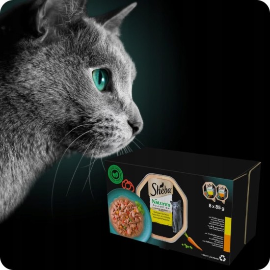 Sheba Nature's Collection in Sauce, Finest Wet Cat Food in Bowl, Poultry Variation, 32 x 85 g Sheba Nature's Collection in Sauce, Finest Wet Cat Food in Bowl, Poultry Variation, 32 x 85 g