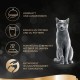 Sheba Nature's Collection in Sauce, Finest Wet Cat Food in Bowl, Poultry Variation, 32 x 85 g Sheba Nature's Collection in Sauce, Finest Wet Cat Food in Bowl, Poultry Variation, 32 x 85 g
