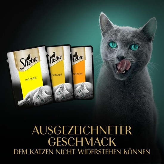 Sheba Nature's Collection in Sauce, Finest Wet Cat Food in Bowl, Poultry Variation, 32 x 85 g Sheba Nature's Collection in Sauce, Finest Wet Cat Food in Bowl, Poultry Variation, 32 x 85 g