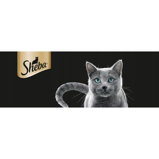 Sheba Paté Classics Salmon Cat Food 85g - 22 Bowls Total 1870g Sheba Paté Classics Salmon Cat Food 85g - 22 Bowls Total 1870g