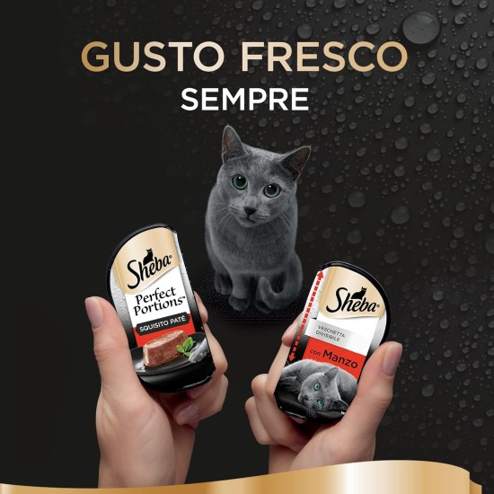 Sheba Perfect Portions Beef Soft Pate Cat Food 8 Packs of 6 Servings (48 Servings Total) Sheba Perfect Portions Beef Soft Pate Cat Food 8 Packs of 6 Servings (48 Servings Total)