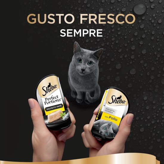 Sheba Perfect Portions Beef Soft Pate Cat Food 8 Packs of 6 Servings (48 Servings Total) Sheba Perfect Portions Beef Soft Pate Cat Food 8 Packs of 6 Servings (48 Servings Total)
