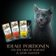 Sheba Portion Bag Cat Food Multipack Fresh & Fine in Sauce with Beef and Chicken, 6 x 6 x 50 g - Premium Cat Food in Sauce, Ideal for Your Cat