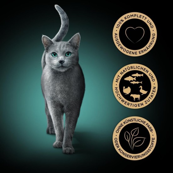 Sheba Portion Bag Cat Food Multipack Fresh Cuisine Taste of Paris with Beef and White Fish MSC, 6 x 6 x 50 g - Gourmet Cat Food with Beef and White Fish Sheba Portion Bag Cat Food Multipack Fresh Cuisine Taste of Paris with Beef and White Fish MSC, 6 x 6 x 50 g - Gourmet Cat Food with Beef and White Fish