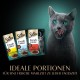 Sheba Portion Bag Cat Food Multipack Fresh Cuisine Taste of Paris with Beef and White Fish MSC, 6 x 6 x 50 g - Gourmet Cat Food with Beef and White Fish Sheba Portion Bag Cat Food Multipack Fresh Cuisine Taste of Paris with Beef and White Fish MSC, 6 x 6 x 50 g - Gourmet Cat Food with Beef and White Fish