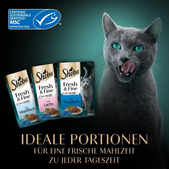 Sheba Portion Bag Cat Wet Food Multipack Fresh & Fine in Jelly with Tuna and Salmon MSC, 6 x 6 x 50 g - Healthy Meals for Cats with Jelly Sheba Portion Bag Cat Wet Food Multipack Fresh & Fine in Jelly with Tuna and Salmon MSC, 6 x 6 x 50 g - Healthy Meals for Cats with Jelly