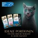 Sheba Portion Bag Cat Wet Food Multipack Fresh & Fine in Jelly with Tuna and Salmon MSC, 6 x 6 x 50 g - Healthy Meals for Cats with Jelly Sheba Portion Bag Cat Wet Food Multipack Fresh & Fine in Jelly with Tuna and Salmon MSC, 6 x 6 x 50 g - Healthy Meals for Cats with Jelly