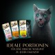 Sheba Portion Bag Cat Wet Food Multipack Fresh & Fine in Sauce with Chicken and Salmon MSC, 6 x 6 x 50 g - Exquisite Meals for Cats in Sauce