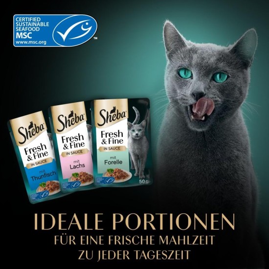 Sheba Portion Bag Wet Cat Food Multipack Fresh & Fine in Sauce with Salmon and Tuna MSC, 6 x 6 x 50 g - Premium Cat Food in Sauce with Salmon and Tuna Sheba Portion Bag Wet Cat Food Multipack Fresh & Fine in Sauce with Salmon and Tuna MSC, 6 x 6 x 50 g - Premium Cat Food in Sauce with Salmon and Tuna