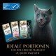 Sheba Portion Bag Wet Cat Food Multipack Fresh & Fine in Sauce with Salmon and Tuna MSC, 6 x 6 x 50 g - Premium Cat Food in Sauce with Salmon and Tuna