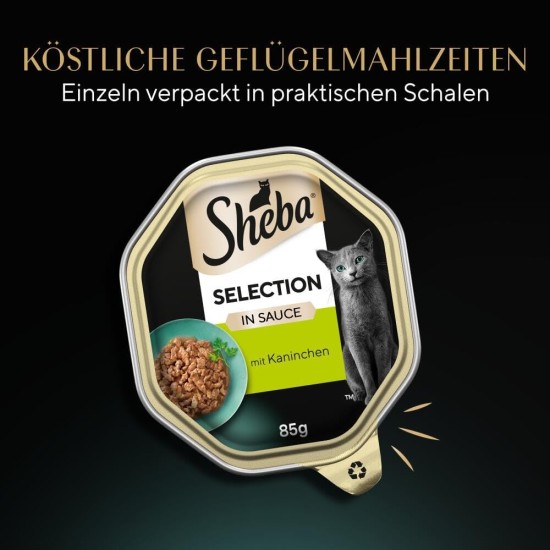 Sheba Selection in Sauce - Cat Food with Chicken Bites in Sauce for Adult Cats - 22 x 85 g Cat Food Sheba Selection in Sauce - Cat Food with Chicken Bites in Sauce for Adult Cats - 22 x 85 g Cat Food